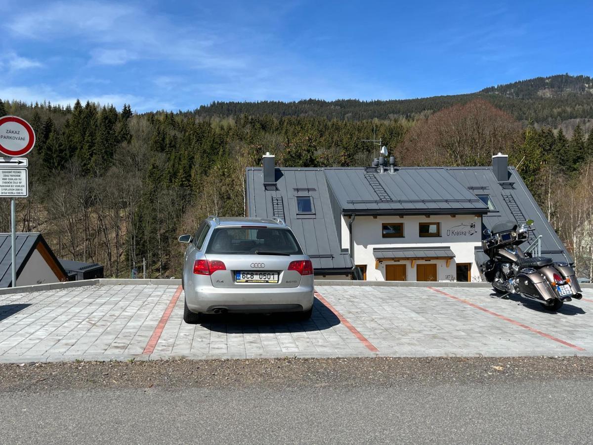 U Kralika, Apartman H, 3 Samostatne Loznice - Mezonet, Vlastni Parkovani, 50 Metru Od Vleku , Vysousece Bot V Lyzarne Dolní Morava Esterno foto